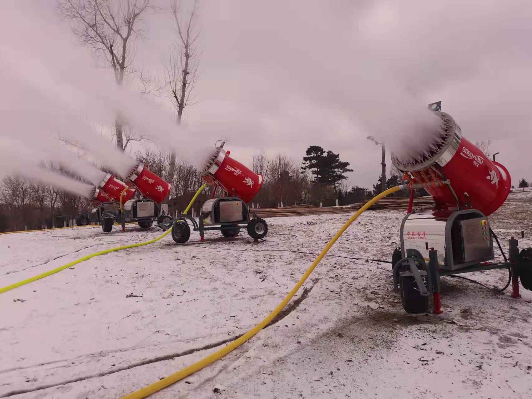 造雪機(jī)案例 (3)